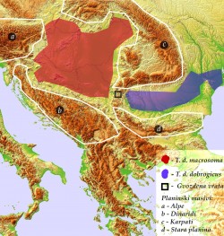 Distribucija dunvaskog vodenjaka / distribution of T. dobrogicus